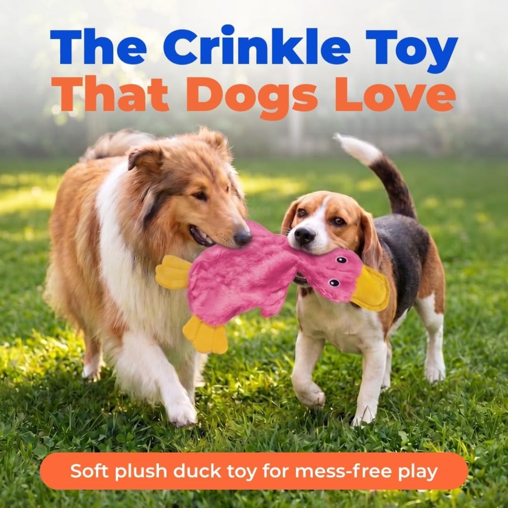 Interactive plush duck squeaky dog toy, additional product photo, Kept in Print